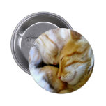 Bouton de chatons de câlin badge avec épingle