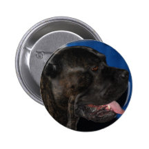 Bouton de chien de Corso de canne Pin's Avec Agrafe