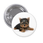 Bouton de chiot de Yorkshire Terrier Badge