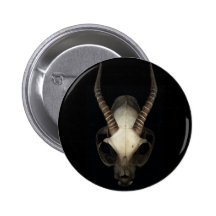 bouton de crâne badge avec épingle