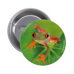 Bouton de Crazy Frog avec l'arrière - plan Badge Avec Épingle
