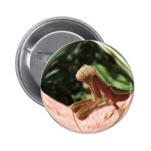 Bouton de ~ de la mante 65 badges avec agrafe