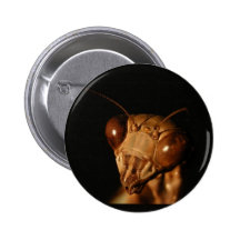 Bouton de ~ de Morticia Pin's Avec Agrafe