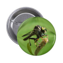 Bouton de ~ de mouche de voleur pin's avec agrafe