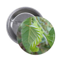 Bouton de ~ de ver de klaxon badges