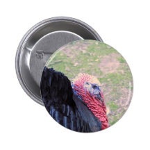 bouton de dinde pin's