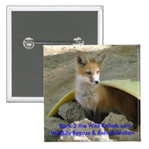 Bouton de Fox de bébé Badges