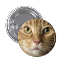 Bouton de Kitty Pin's Avec Agrafe