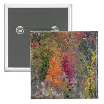 Bouton de la palette de l'automne badges