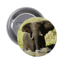 Bouton de natation d'éléphant (éléphant africain) pin's avec agrafe
