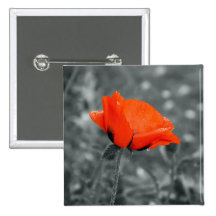 Bouton de pavot de clé de couleur badges