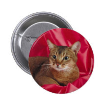 Bouton de pedigree de chat pin's avec agrafe