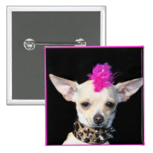 Bouton de punk de chiwawa badges