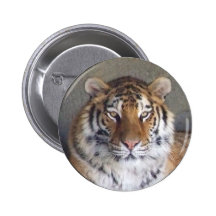 Bouton de tigre badge