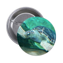 Bouton de tortue de mer verte badges avec agrafe