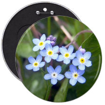 Bouton des myosotis des marais 2 badge avec épingle