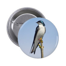 Bouton d'hirondelle d'arbre badge