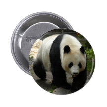 Bouton géant de panda d'ours panda et de bébé badges