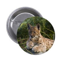 Bouton - lynx pin's avec agrafe