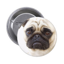 Bouton rond de chien de carlin badges