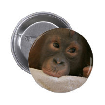 Bouton rond de chimpanzé de bébé pin's