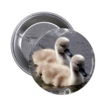 Bouton rond de cygnes de bébé pin's avec agrafe