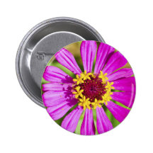 Bouton rose de fleur de gerbera pin's avec agrafe