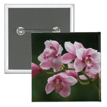 bouton rose-foncé de carré d'orchidée badge