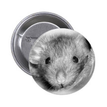 Bouton semi-transparent de Rattie Pin's Avec Agrafe
