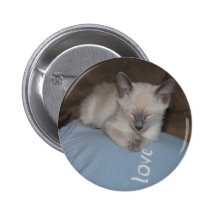 Bouton siamois de chaton badge avec épingle