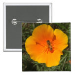 Boutons d'abeille et de pavot badge