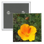 Boutons partis d'abeille de mouche badges