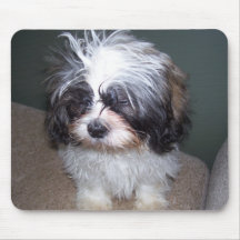 Bowie le chiot brouillé 2 Mousepad de Shih Tzu Tapis De Souris