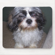 Bowie le chiot brouillé Mousepad de Shih Tzu Tapis De Souris