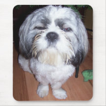 Bowie le Shih brouillé Tzu 2 Mousepad Tapis De Souris