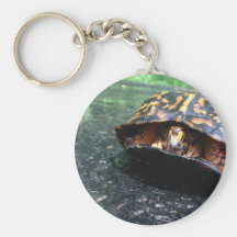Box Turtle Key Chains