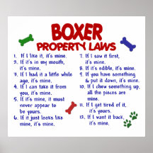 BOXEUR PL2 POSTER