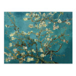 Branches d'amande de Van Gogh en fleur Carte Postale