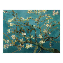 Branches d'amande en fleur carte postale