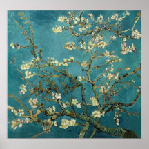 Branches d'amande en fleur affiches