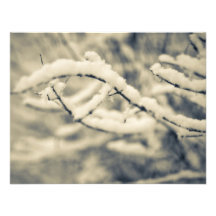Branches glaciales faire-parts