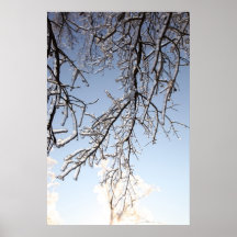 Branches glaciales posters