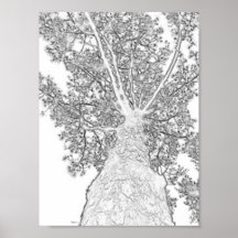 Branches grandes posters