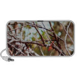 branches mini haut-parleur