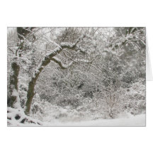 Branches tordues carte de vœux