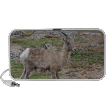 Brebis de moutons de Big Horn de montagne rocheuse Haut-parleur iPod