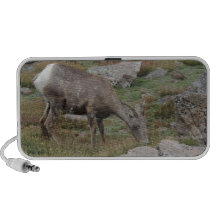 Brebis de moutons de Big Horn de montagne rocheuse Haut-parleurs Ordinateur Portable