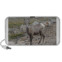 Brebis de moutons de Big Horn de montagne rocheuse Haut-parleurs Notebook