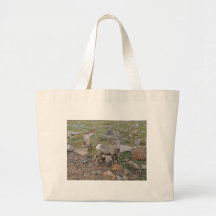 Brebis de moutons de Big Horn de montagne rocheuse Sacs