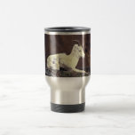Brebis et agneau de moutons de Dall se couchant Mug